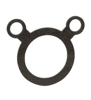 FLAT GASKET 110MM